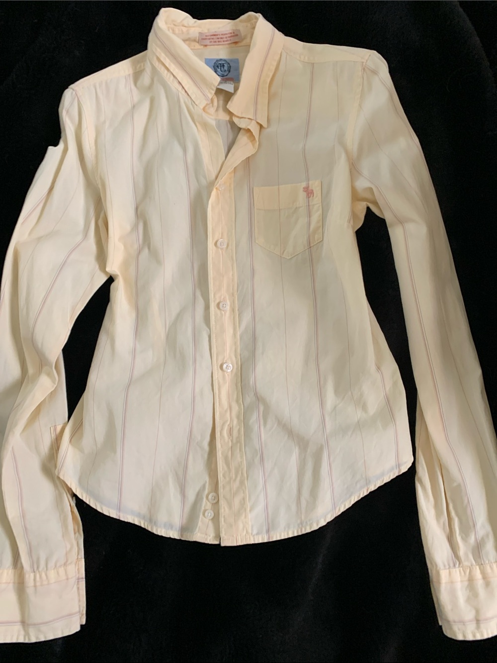 Abercrombie & Fitch girlie tight vintage Striped Button-Down Shirt